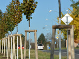 zdroj: město Olomouc