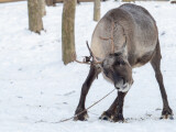 zdroj: Zoo Olomouc