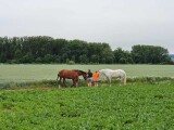 Foto z místa nehody. | HZS Olomouckého kraje