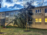 zdroj: HZS