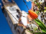 Zdroj: Olomoucký Report