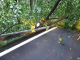 Popadané větve na železniční trati. | zdroj: HZS Olomouckého kraje