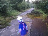 Popadané větve na železniční trati. | zdroj: HZS Olomouckého kraje