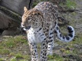Ilustrační foto: Zoo Olomouc
