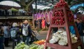 Květinový design a umění. Flora začíná už příští týden