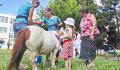 Poníci rozdávali radost dětským pacientům. Na Dětské klinice byli poprvé