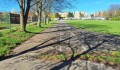 Stromy ošetří pomocí injektáže. Prostějov zaplatí desítky tisíc