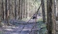 Řidič čtyřkolky zemřel při nehodě na Prostějovsku