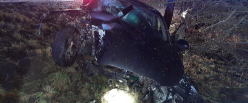 Smyk na mokré silnici poslal auto do stromu. Dva mladíci skončili v nemocnici