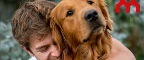 Šumperk vlastní útulek mít nebude. Pokračujeme v řešení, které je rychlejší, odůvodňuje město
