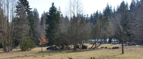 Ztratili jsme důvěru. Na Domu přírody Karlova studánka spolupracovat nebude