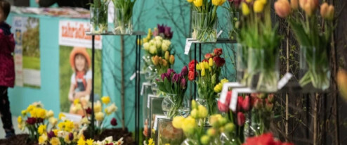 Techno uprostřed rozkvetlé výstavy. Letošní Floru doplní zvuky