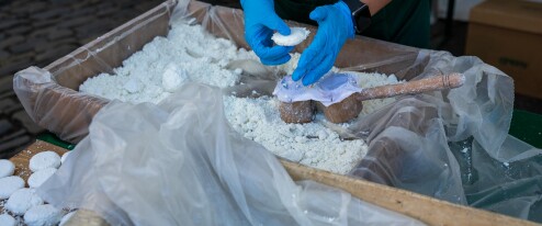 FotoReport: Tvarůžkový festival provoněl centrum Olomouce