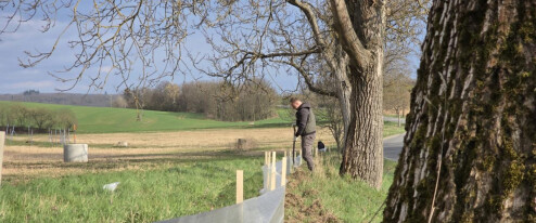 Stovky zábran, stovky zachráněných žab. Ve Šternberku pomáhají dobrovolníci