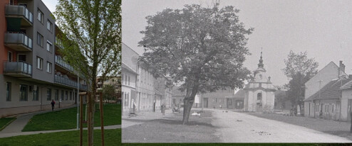 Olomouc v čase: K dominantě hřbitova stále vede alej, kostelíky jsou obestavené paneláky