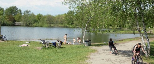 Akce na víkend: Technické služby otevírají dveře, Olomoucké Poděbrady pálí čarodějnice