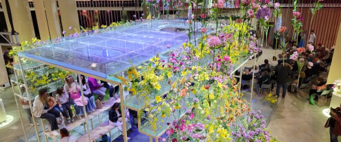 Hudba, barvy a ještě více barev: Letošní Flora láká na originalitu