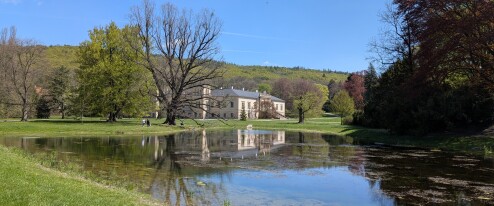 Tady ryby nepatří. Do zámeckého rybníku někdo vysadil ryby