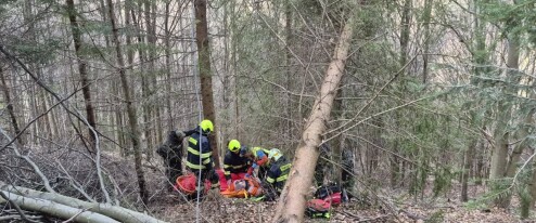 Dřevař v Jeseníkách spadl z vysoké výšky. Na místě byl i vrtulník