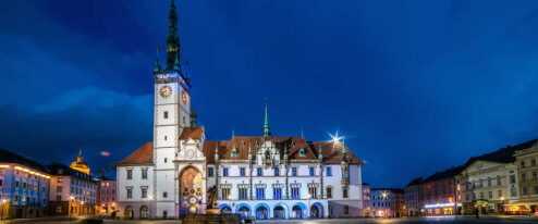 Bačák, Runták a nové tváře. Hnutí představilo kandidáty