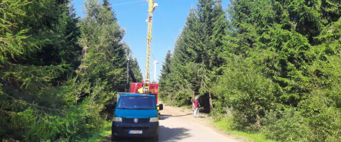 Trestní oznámení padlo. Šumperk řeší krádež dřeva z městských lesů