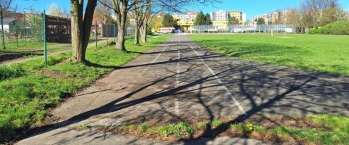 Stromy ošetří pomocí injektáže. Prostějov zaplatí desítky tisíc