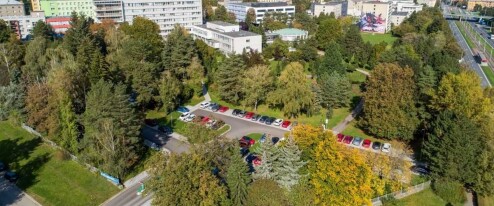 Olomouc označila deset významných stromů. Některé čelily i snahám o pokácení