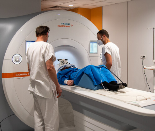 Highlighty týdne: Radost v ZOO, graffity bez pokut i změny olomouckých zákoutí