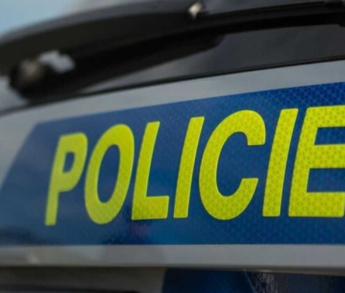 Chtěl vybrat zisk z investic, následně položil statisíce pod strom