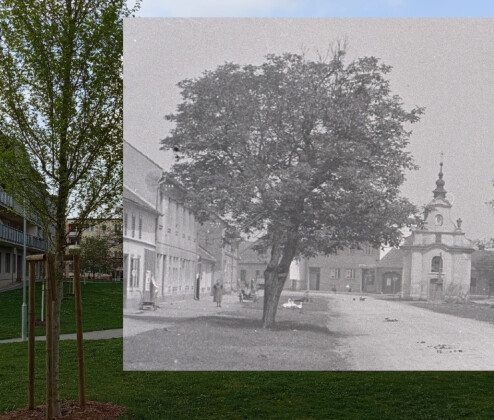 Olomouc v čase: K dominantě hřbitova stále vede alej, kostelíky jsou obestavené paneláky