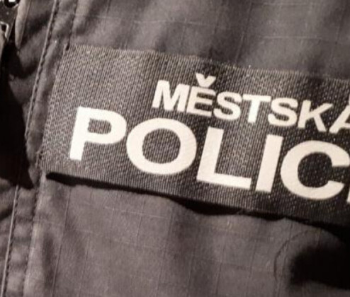 Účinnější jsou motorizované hlídky, říká ředitel městské policie
