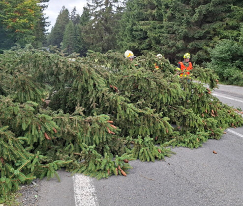 Při odstraňování padlého stromu na trati v Hanušovicích zahynul drážní hasič