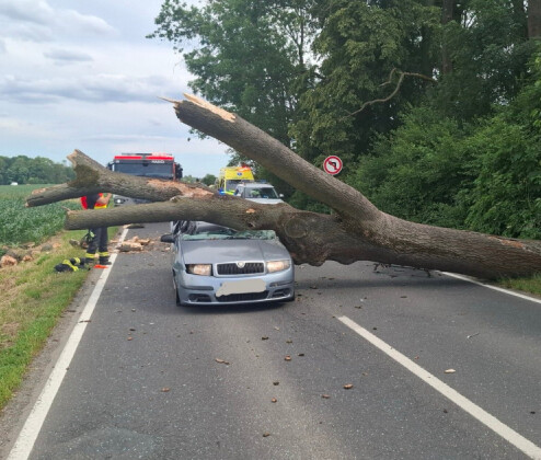 AKTUÁLNĚ: Vzrostlý strom spadl u Štěpánova na projíždějící auto. Provoz zastaven v obou směrech