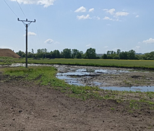 Archeologové objevili u Kojetína na Přerovsku bronzový poklad